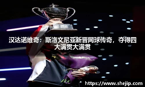 汉达诺维奇：斯洛文尼亚新晋网球传奇，夺得四大满贯大满贯